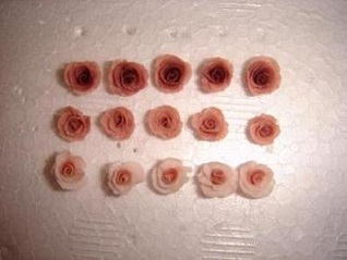 �h�[���n�E�X�E�~�j�`���A�E�ӂ��H�[