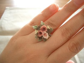 �h�[���n�E�X�E�~�j�`���A�E�ӂ��H�[