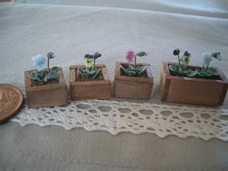 �h�[���n�E�X�E�~�j�`���A�E�ӂ��H�[