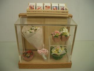 �h�[���n�E�X�E�~�j�`���A�E�ӂ��H�[